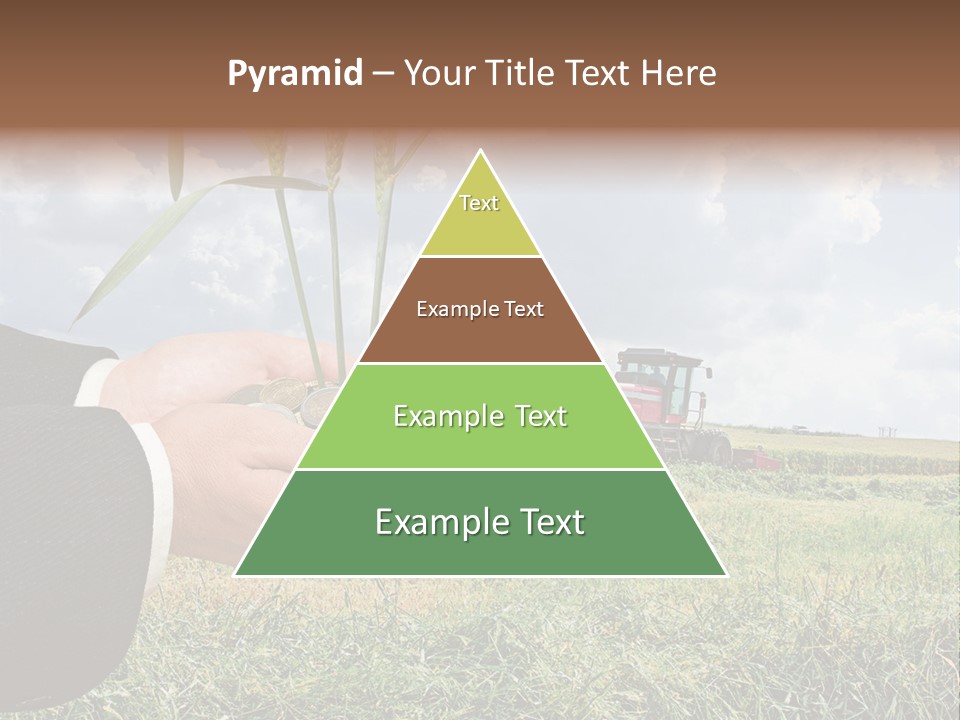 Wooden Healthy Food PowerPoint Template