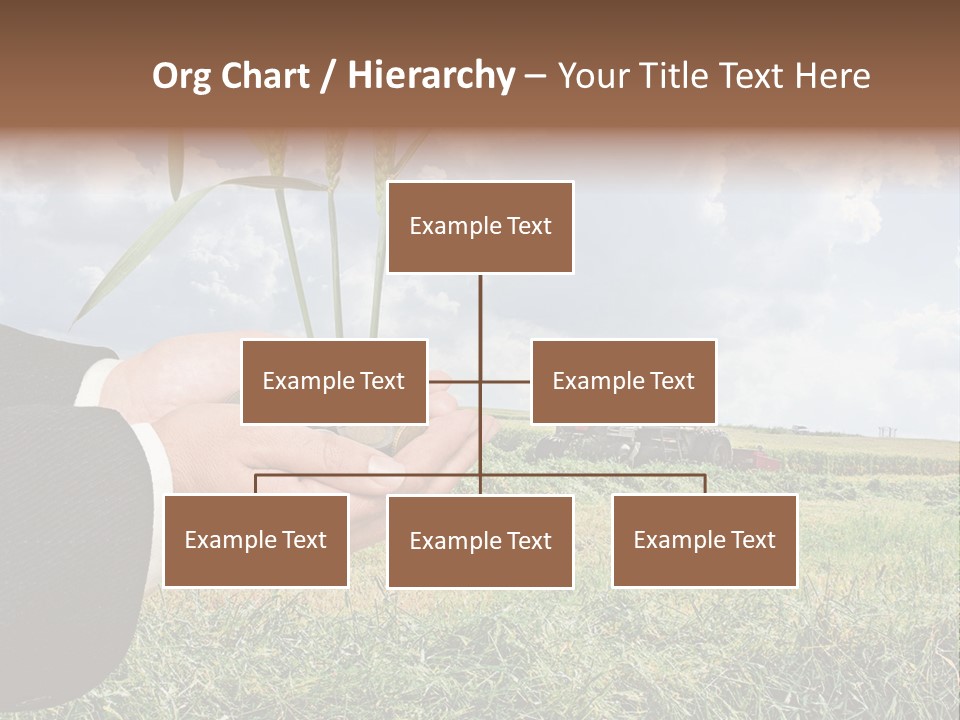 Wooden Healthy Food PowerPoint Template