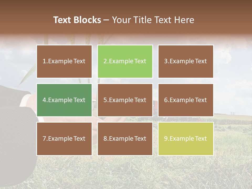 Wooden Healthy Food PowerPoint Template