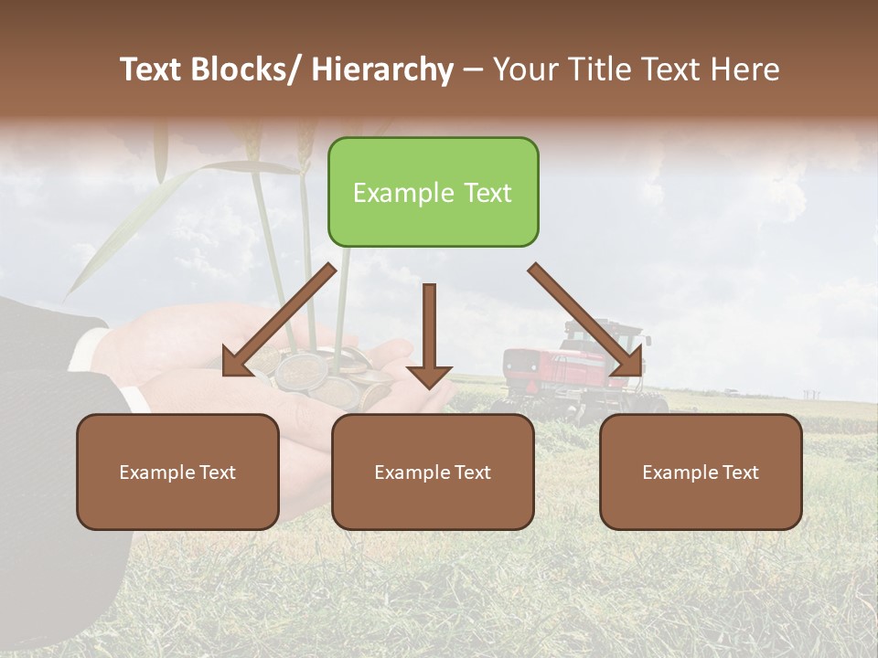 Wooden Healthy Food PowerPoint Template