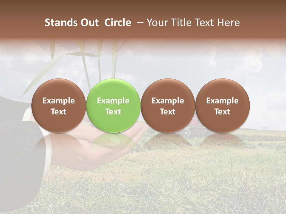 Wooden Healthy Food PowerPoint Template