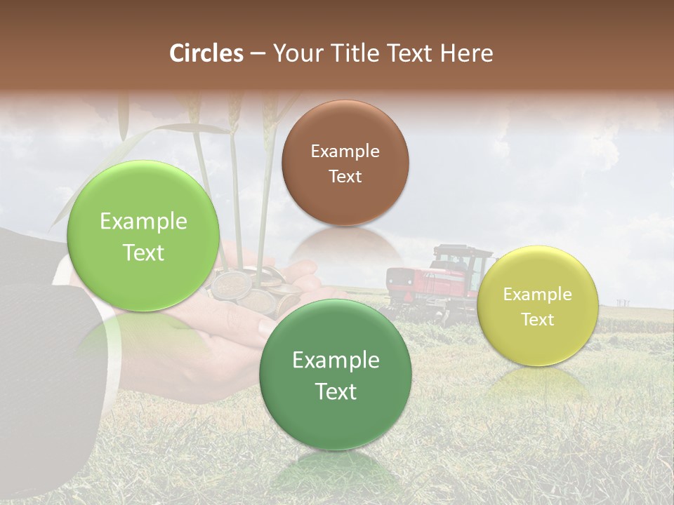 Wooden Healthy Food PowerPoint Template