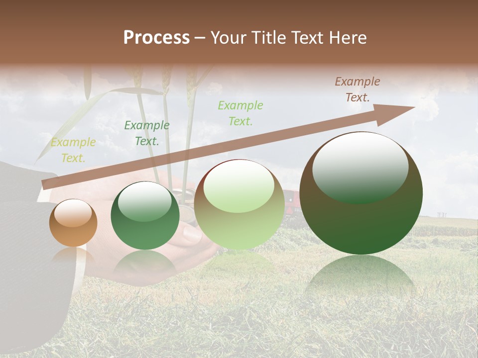 Wooden Healthy Food PowerPoint Template