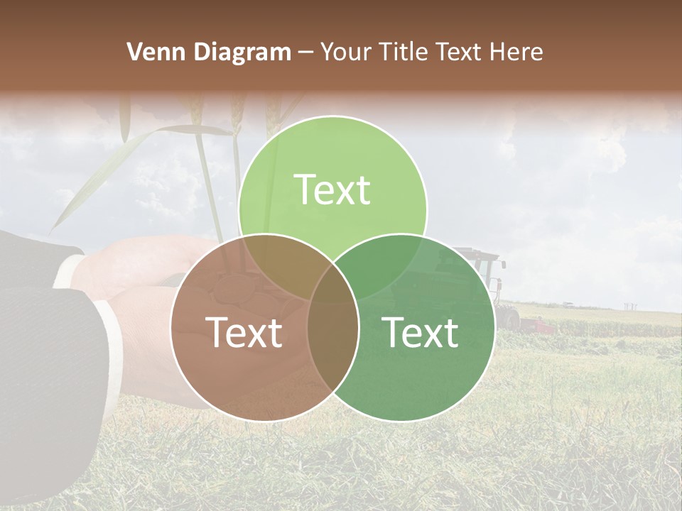 Wooden Healthy Food PowerPoint Template