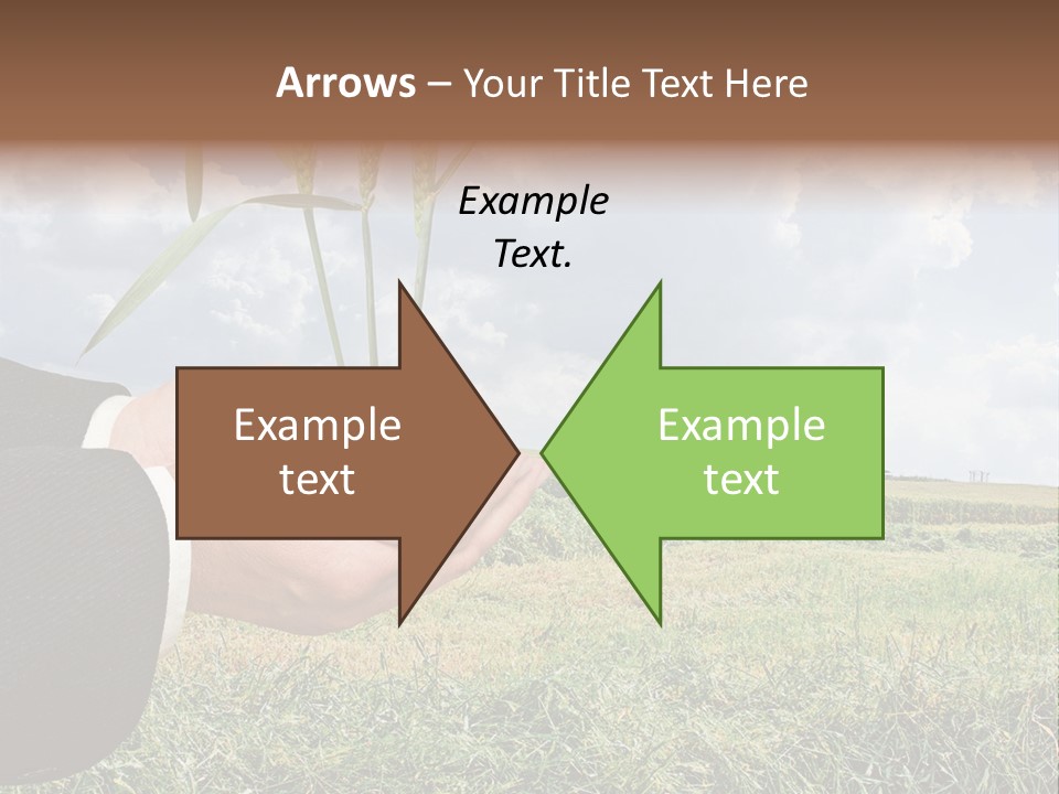 Wooden Healthy Food PowerPoint Template