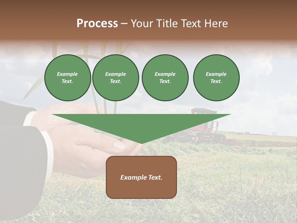 Wooden Healthy Food PowerPoint Template