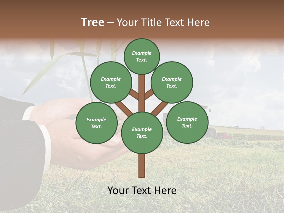 Wooden Healthy Food PowerPoint Template