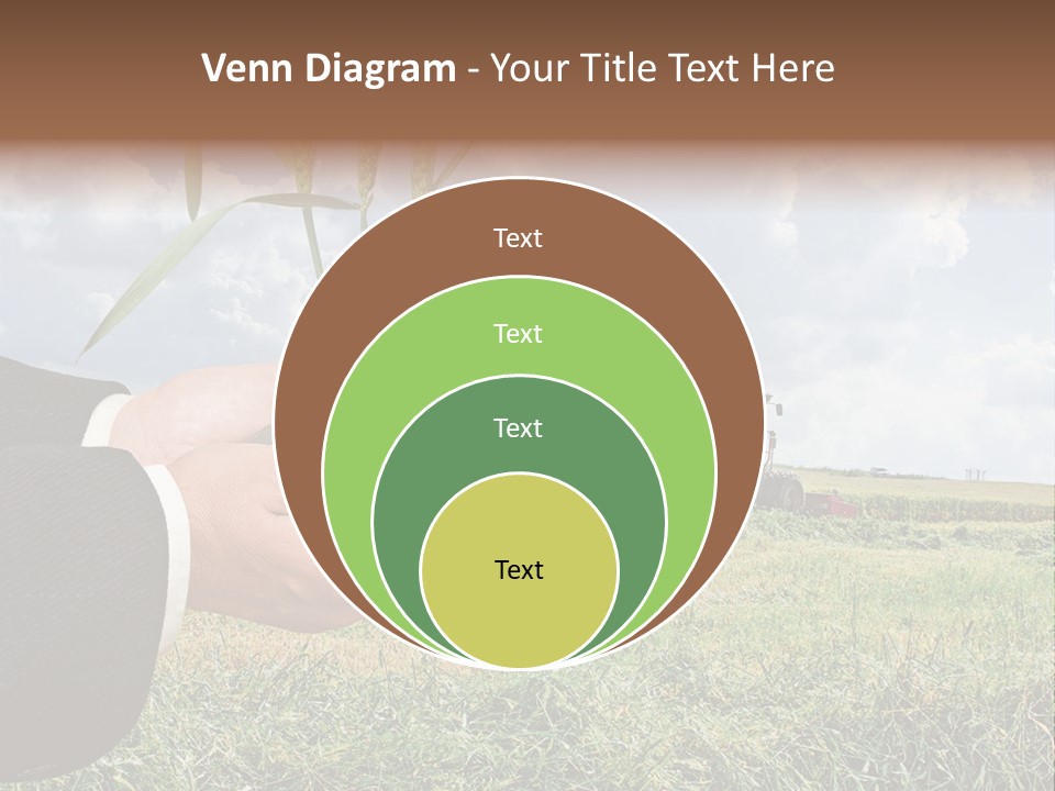 Wooden Healthy Food PowerPoint Template