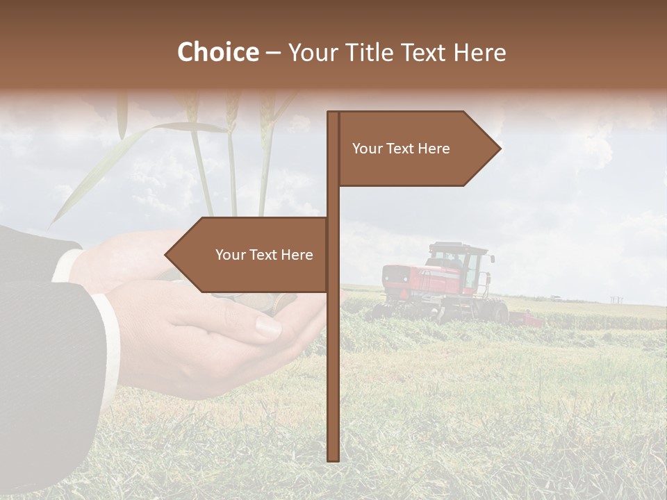 Wooden Healthy Food PowerPoint Template