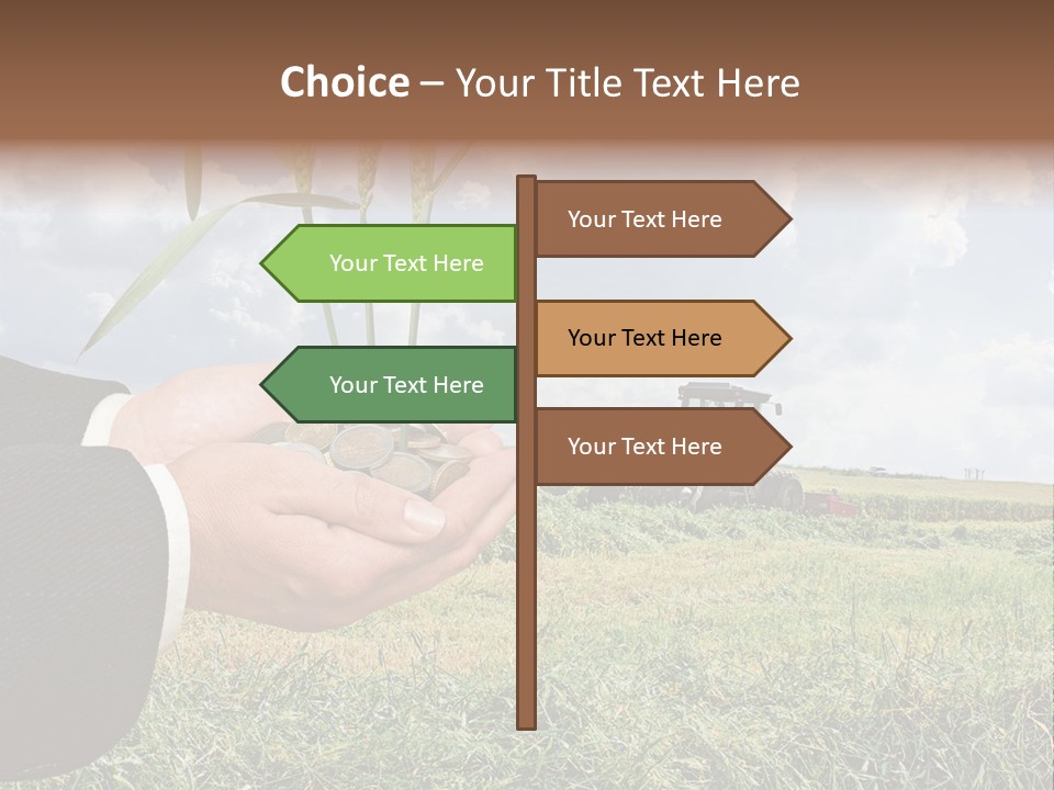 Wooden Healthy Food PowerPoint Template