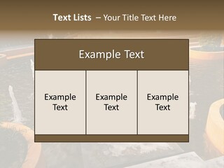 European Aroma Olive PowerPoint Template