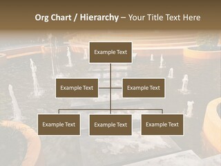 European Aroma Olive PowerPoint Template
