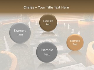 European Aroma Olive PowerPoint Template