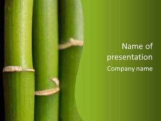 Wood Colour Bamboo PowerPoint Template