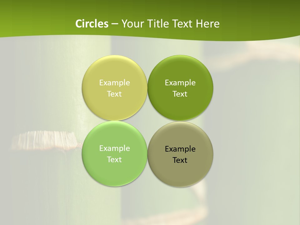 Wood Colour Bamboo PowerPoint Template