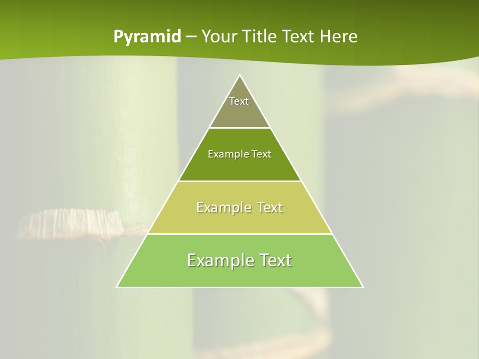 Wood Colour Bamboo PowerPoint Template