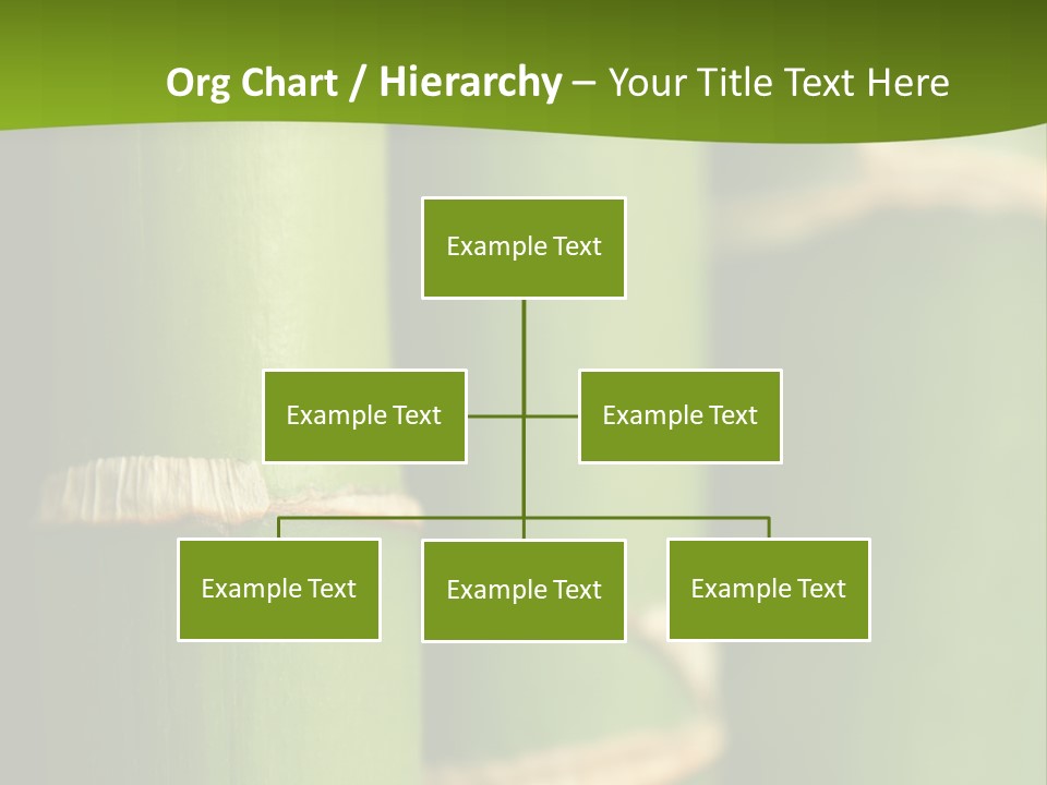 Wood Colour Bamboo PowerPoint Template