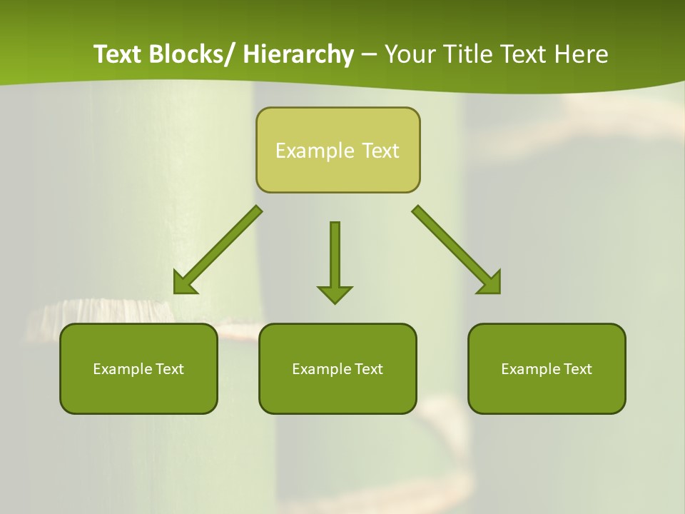 Wood Colour Bamboo PowerPoint Template