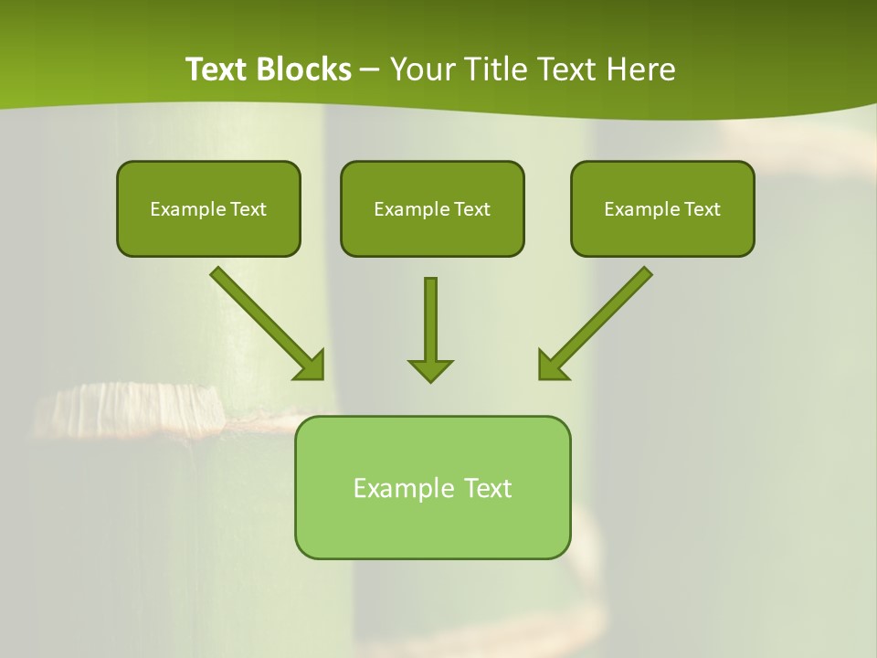 Wood Colour Bamboo PowerPoint Template