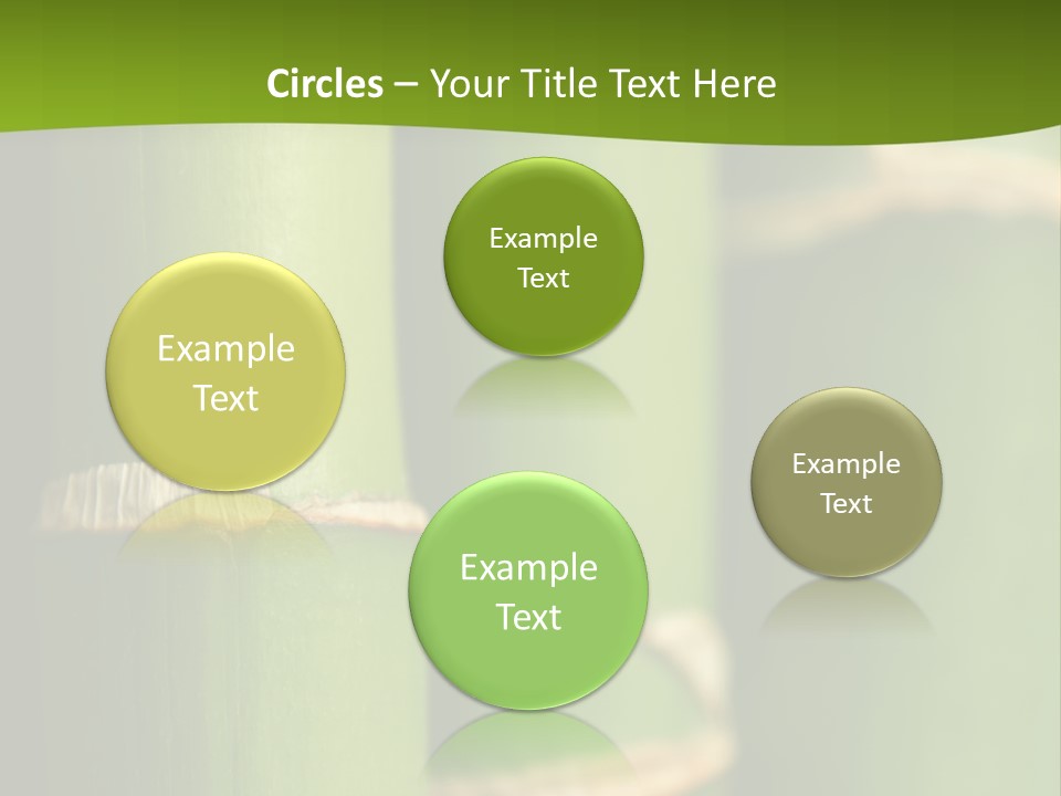 Wood Colour Bamboo PowerPoint Template