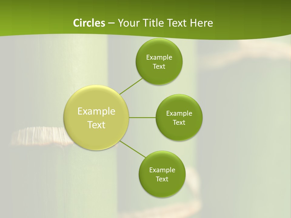 Wood Colour Bamboo PowerPoint Template