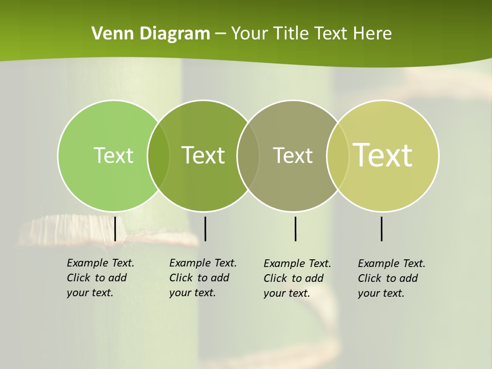 Wood Colour Bamboo PowerPoint Template