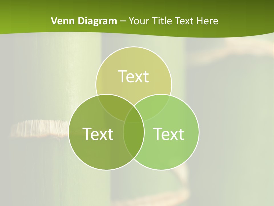 Wood Colour Bamboo PowerPoint Template