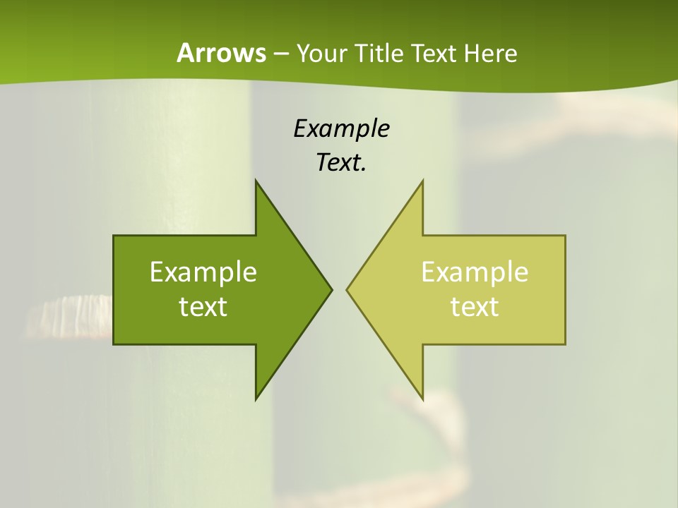 Wood Colour Bamboo PowerPoint Template