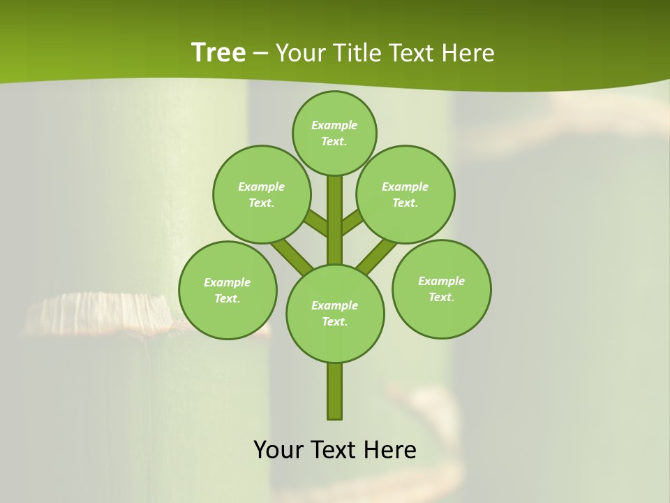 Wood Colour Bamboo PowerPoint Template