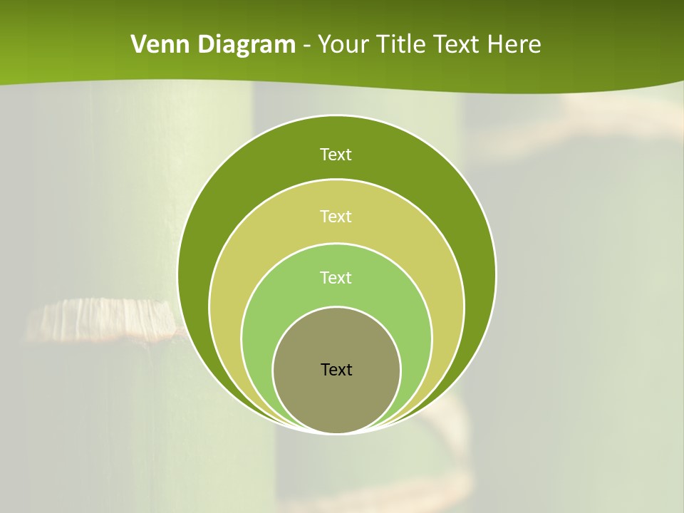 Wood Colour Bamboo PowerPoint Template