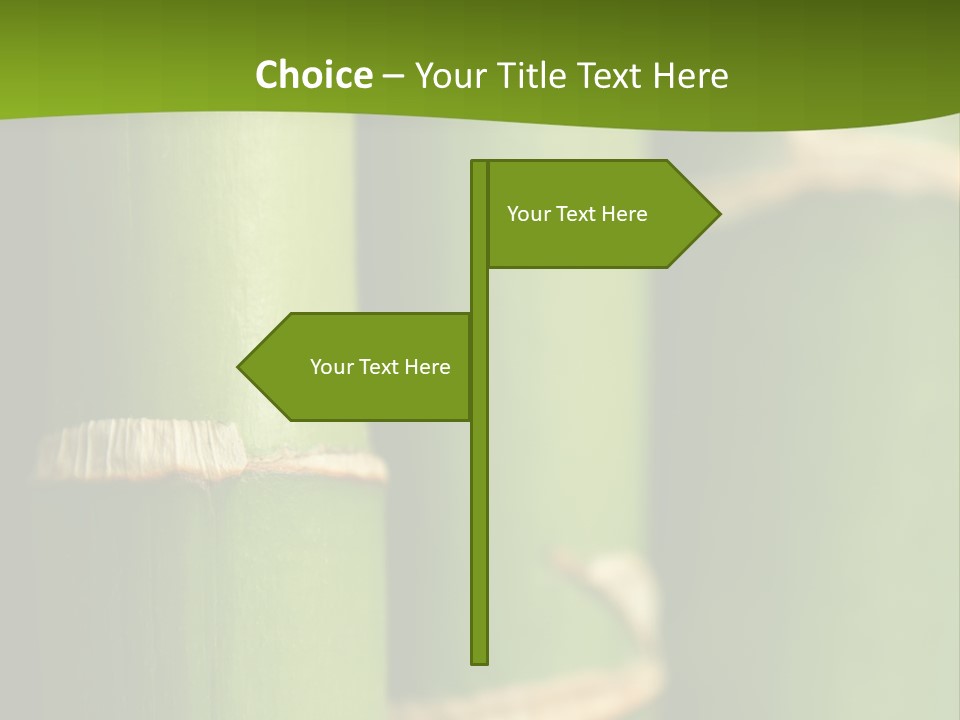 Wood Colour Bamboo PowerPoint Template