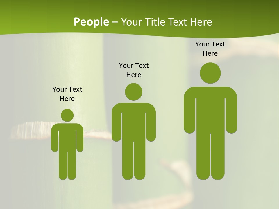 Wood Colour Bamboo PowerPoint Template