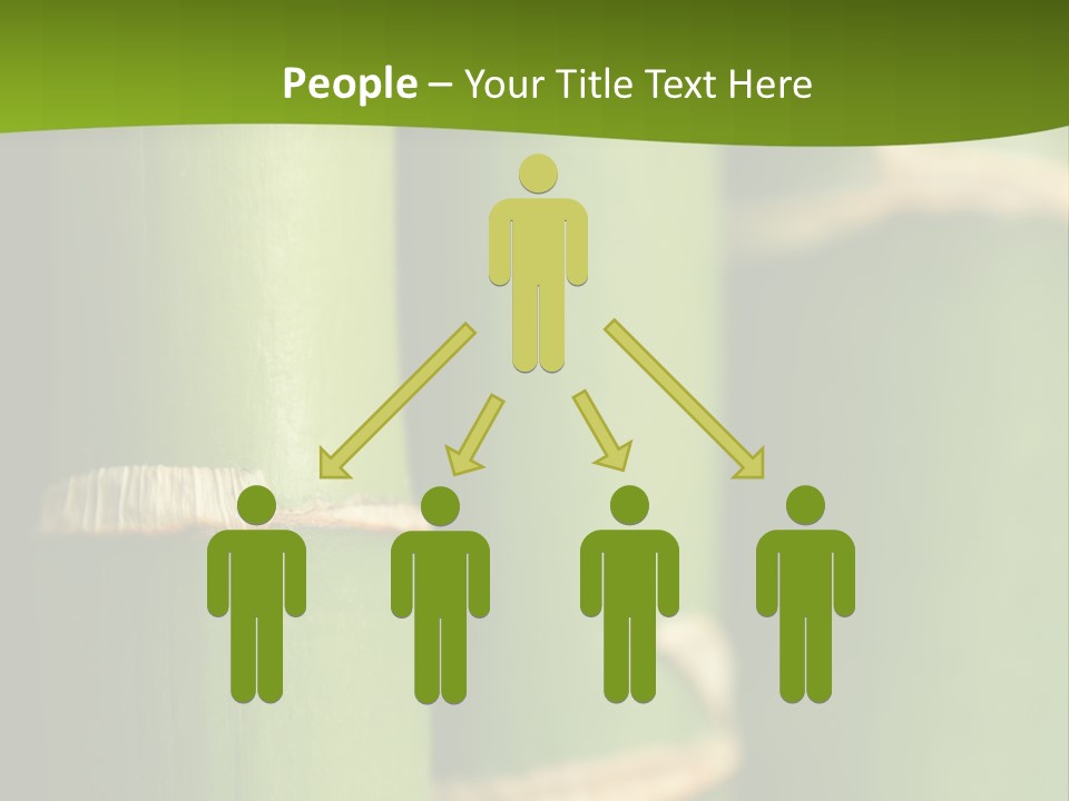 Wood Colour Bamboo PowerPoint Template