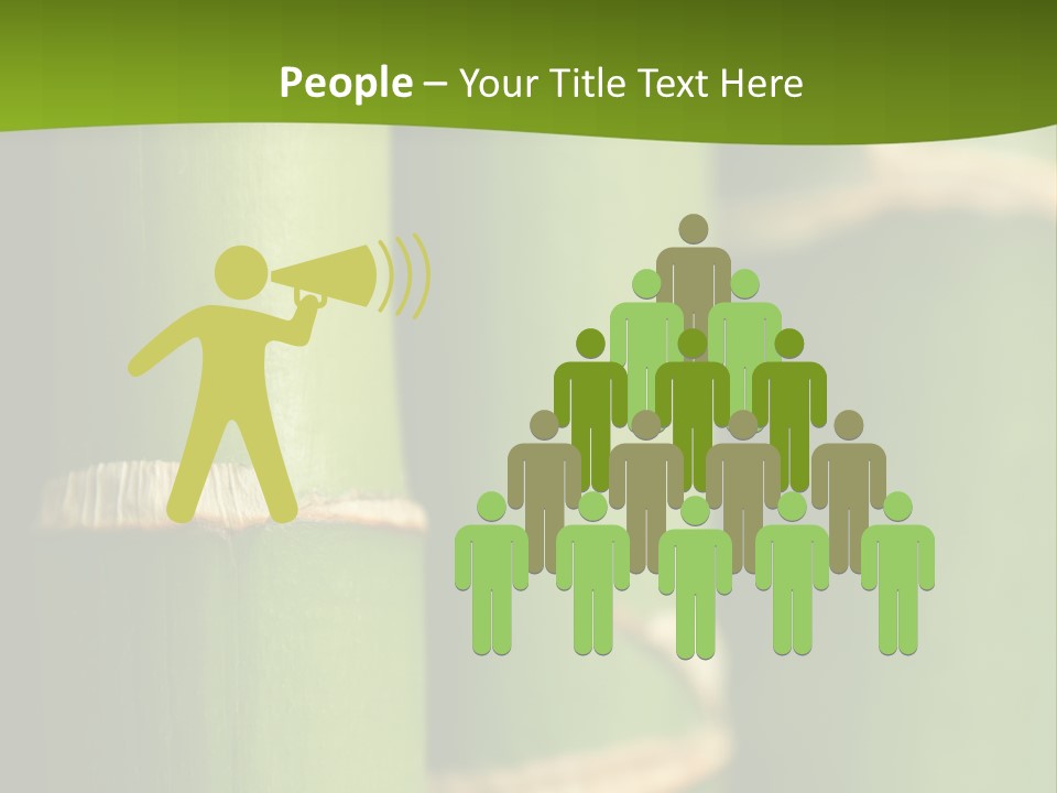 Wood Colour Bamboo PowerPoint Template