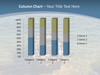 Fish Sunrise Wood PowerPoint Template