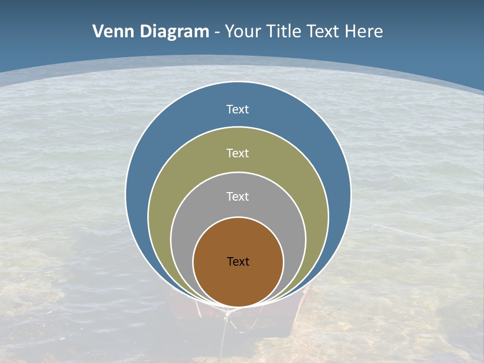 Fish Sunrise Wood PowerPoint Template