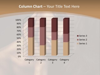 Styling Cosmetic Salon PowerPoint Template