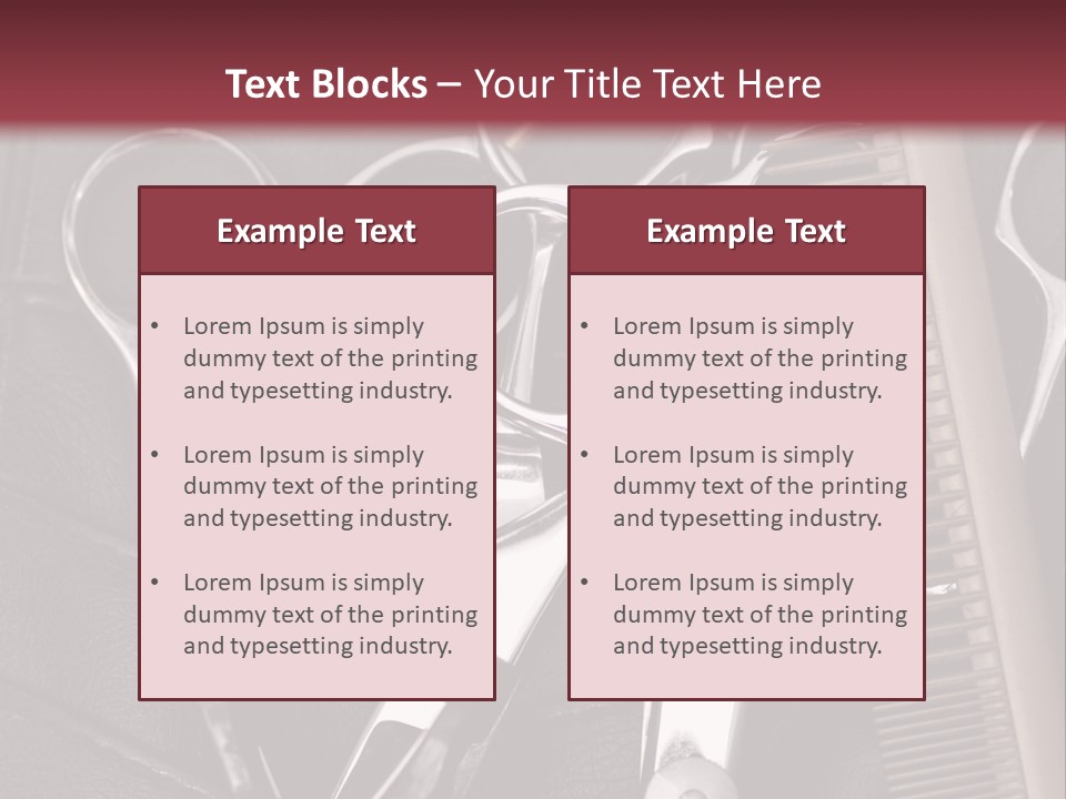 Fashion Professional Beauty PowerPoint Template