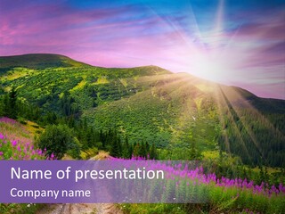 Path Color Field PowerPoint Template