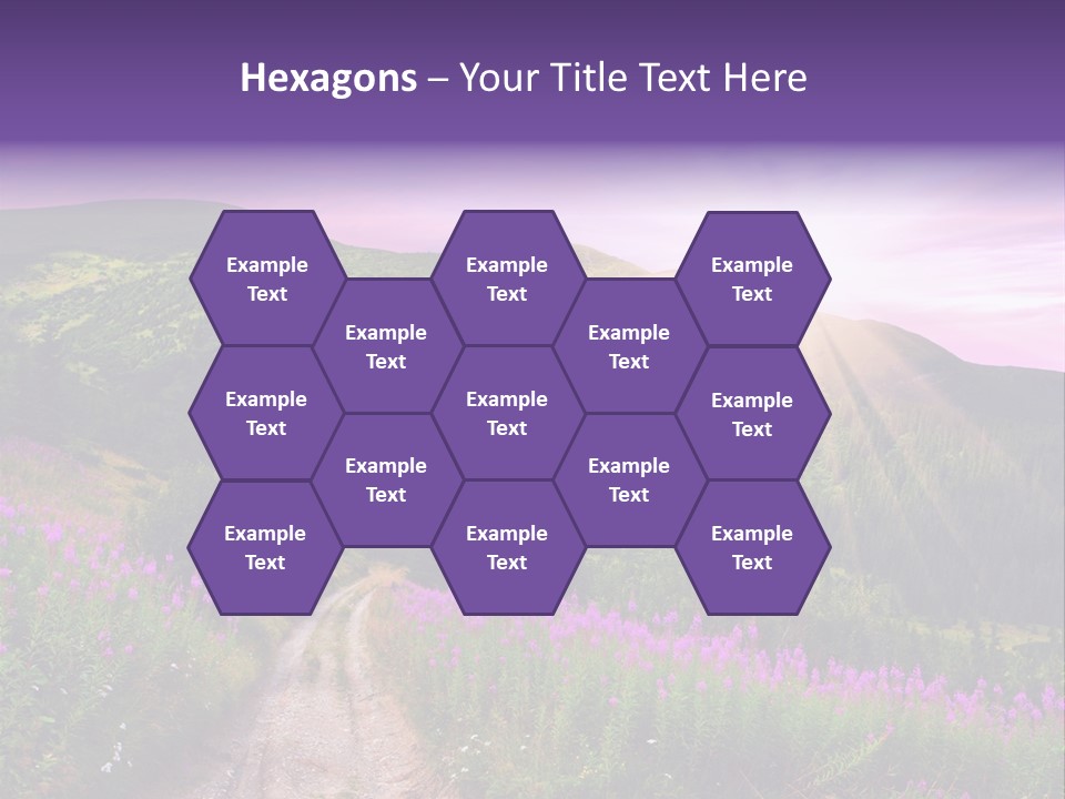 Path Color Field PowerPoint Template