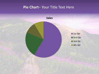 Path Color Field PowerPoint Template