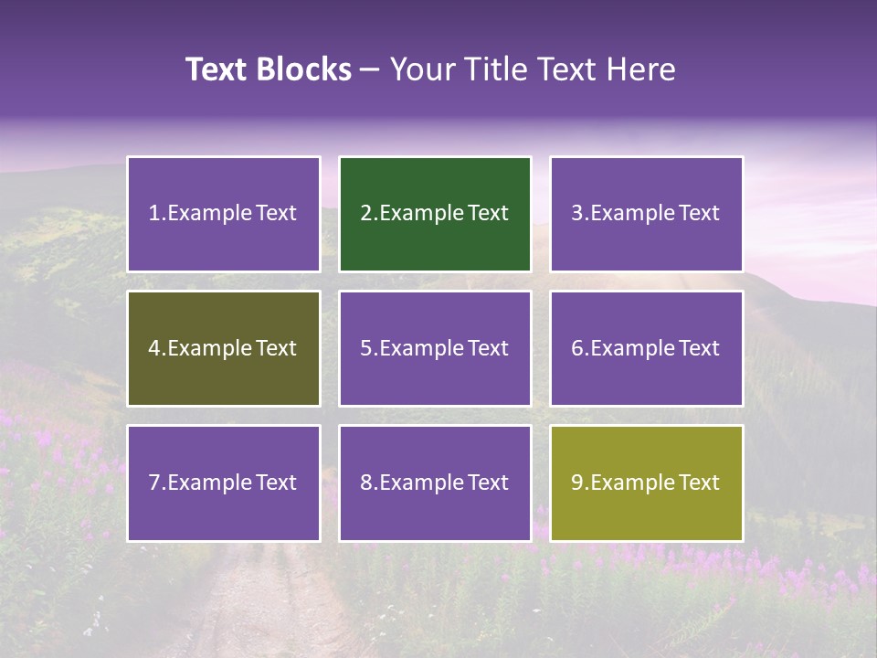 Path Color Field PowerPoint Template