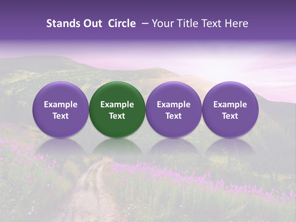 Path Color Field PowerPoint Template