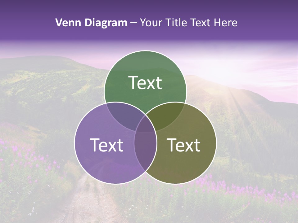 Path Color Field PowerPoint Template