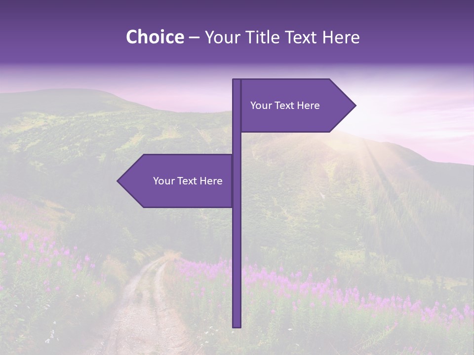 Path Color Field PowerPoint Template