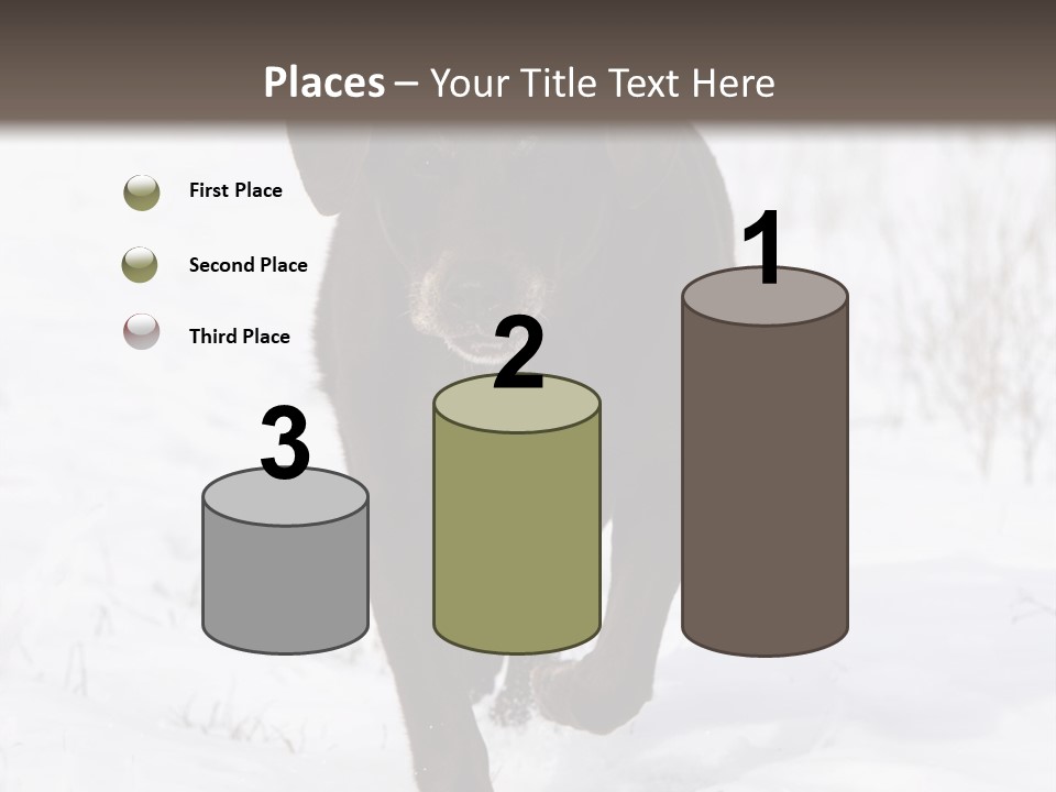 Chocolate Labrador Retriever Snow Background Playing Dog PowerPoint Template