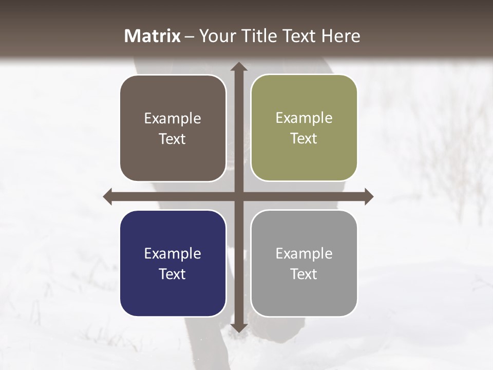 Chocolate Labrador Retriever Snow Background Playing Dog PowerPoint Template