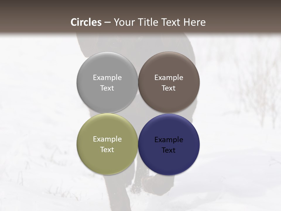 Chocolate Labrador Retriever Snow Background Playing Dog PowerPoint Template