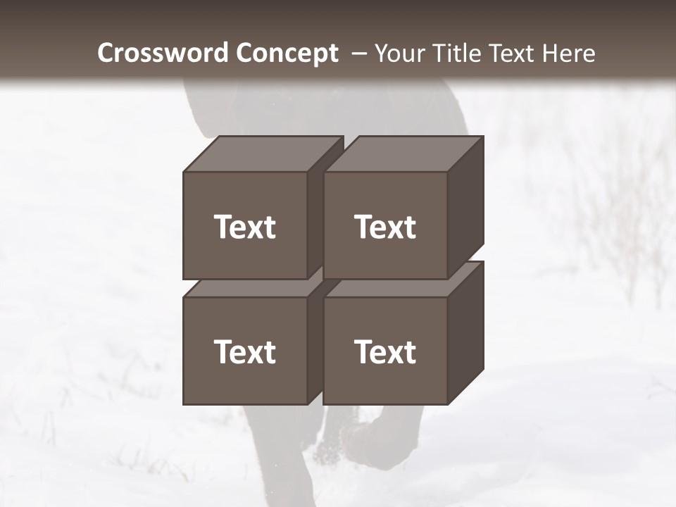 Chocolate Labrador Retriever Snow Background Playing Dog PowerPoint Template