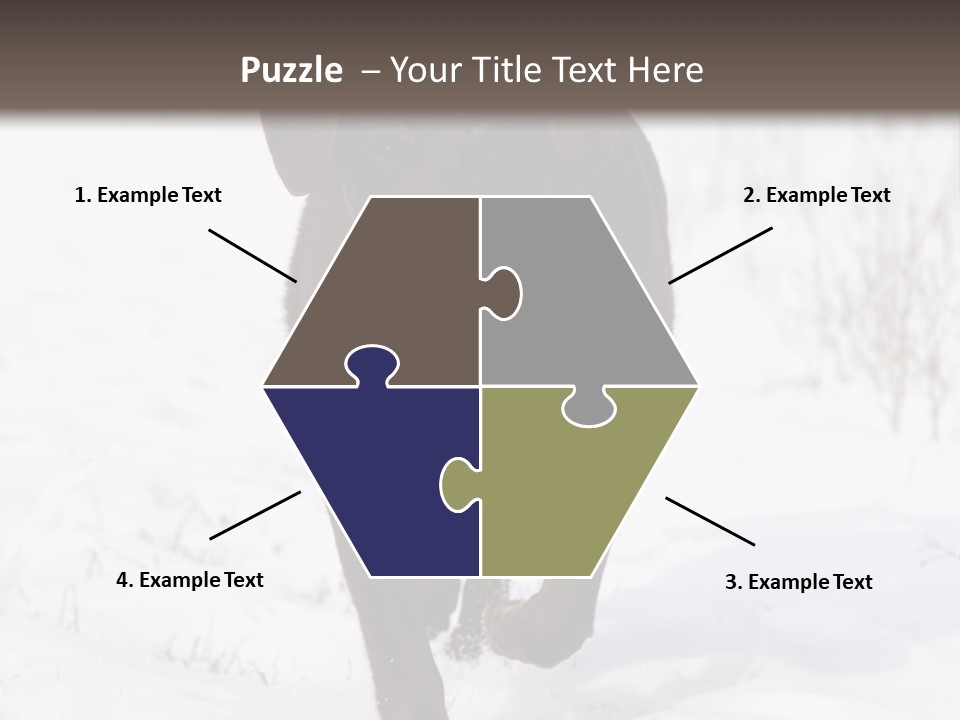 Chocolate Labrador Retriever Snow Background Playing Dog PowerPoint Template